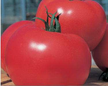 Momotaro (or Tough Boy) Hybrid Tomato Seeds